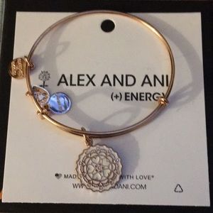 Alex and ani paper hearts